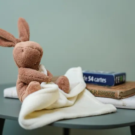 Le Mouton Bleu 4* Talloires